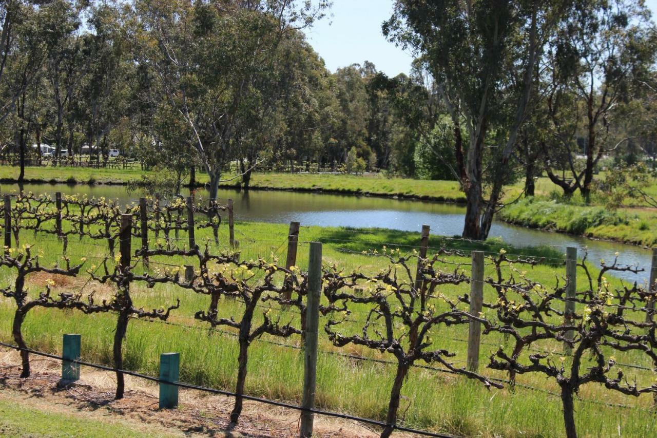 Вілла Oxenberry Farm МакЛарен-Вейл Екстер'єр фото